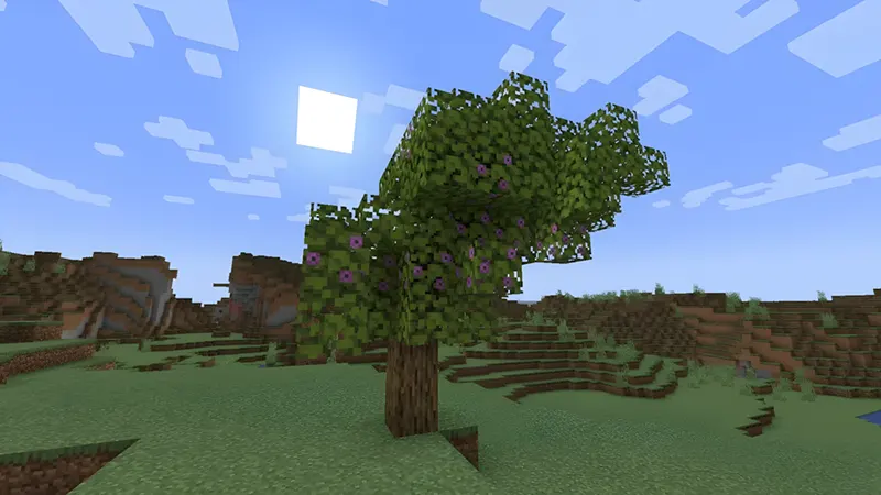 Gỗ đỗ quyên (Azalea)