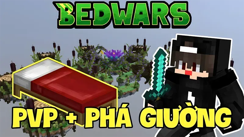 Các loại tài nguyên và chức năng