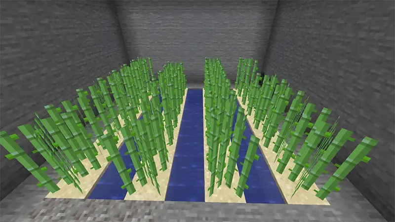 sách trong Minecraft