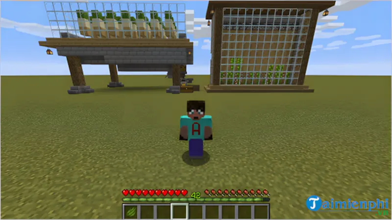 XP bank của Avomance