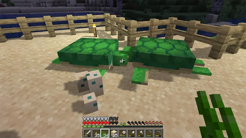 Bước 2: Chuẩn bị 