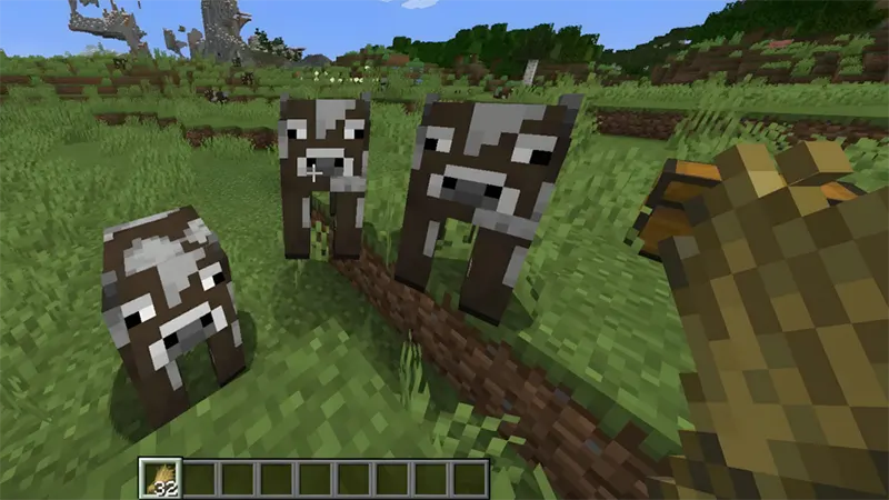 Bước 2: Dẫn dụ động vật về chuồng