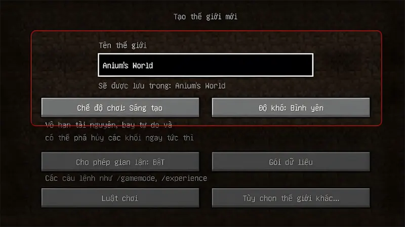 Bước 2: Nhập tên riêng và tùy chỉnh cơ bản 