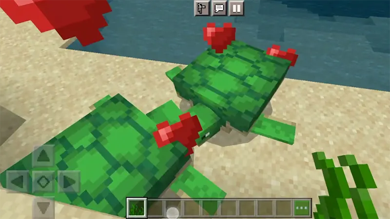 Bước 3: Cho rùa sinh sản