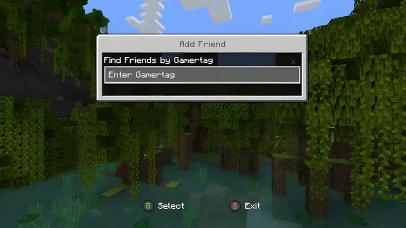 Bước 2: Nhập đúng Gamertag