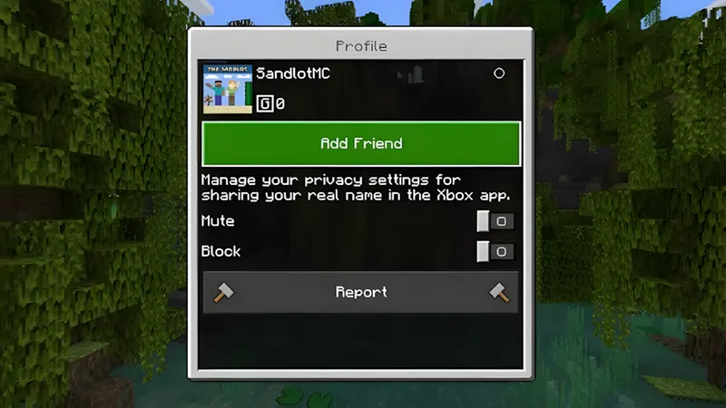 Bước 3: Gửi lời kết bạn đến bạn bè