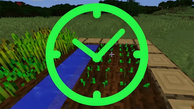 Chờ cà rốt phát triển