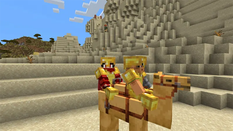 Chở được hai người