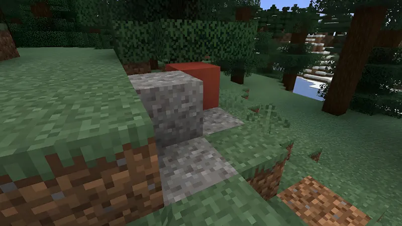 Đường mòn trong cánh rừng