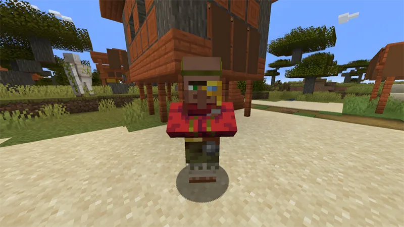 Người lập bản đồ (Cartographer)