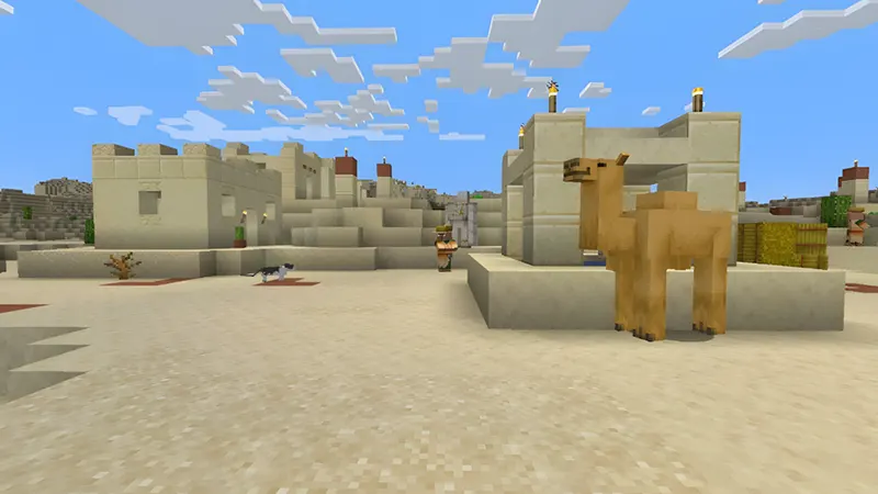 Sa mạc và những chú lạc đà