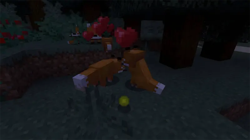 Sinh sản và nhân giống cáo