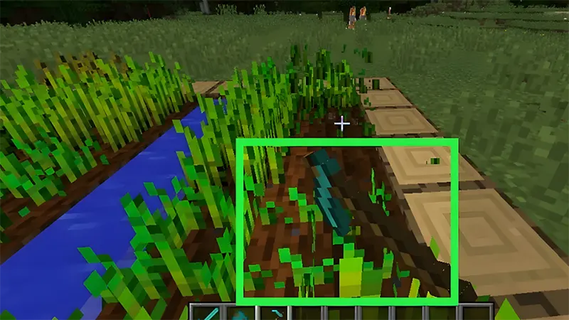 Tạo đất canh tác