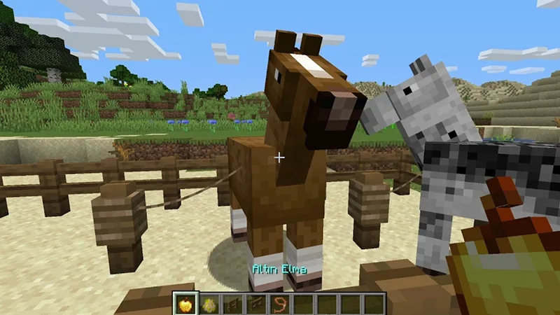 Thuần hóa hai con ngựa