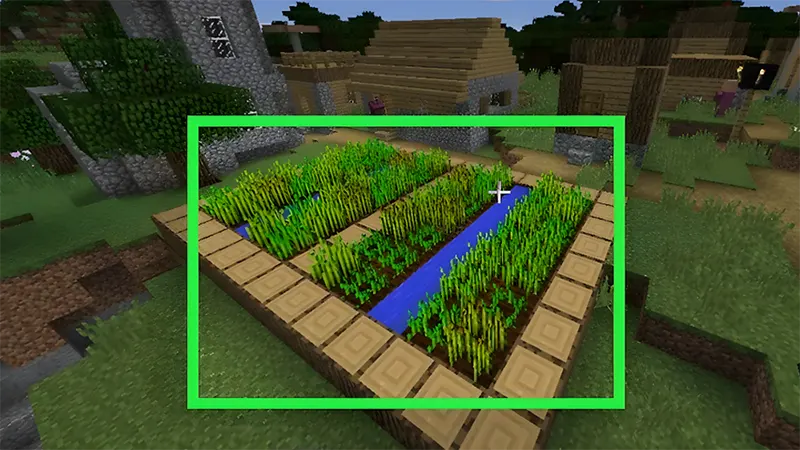 Cách Kiếm Cà Rốt Trong Minecraft