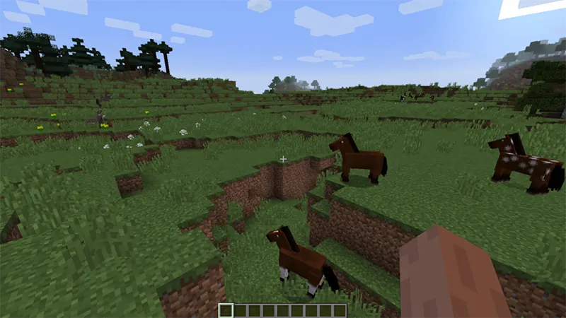 Tìm một chú ngựa