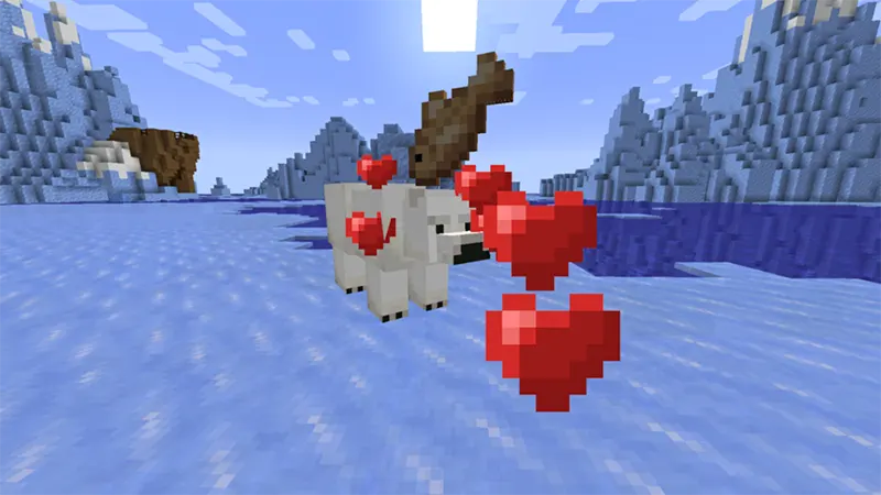 Vậy có thể thuần hóa gấu bắc cực không?